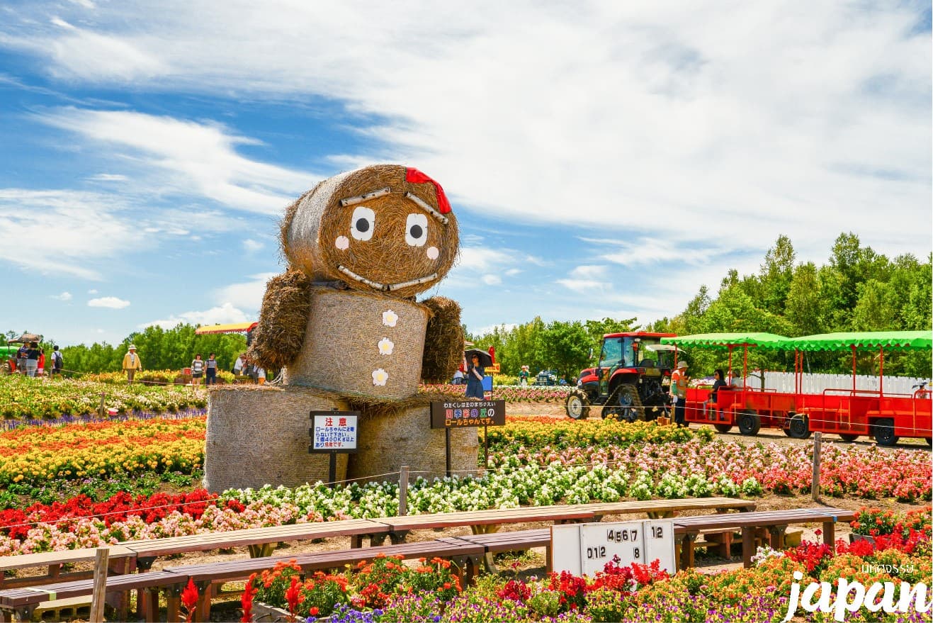 มหัศจรรย์...HOKKAIDO อาซาฮิกาว่า ลาเวนเดอร์ ซัปโปโร 5 วัน 3 คืน 3
