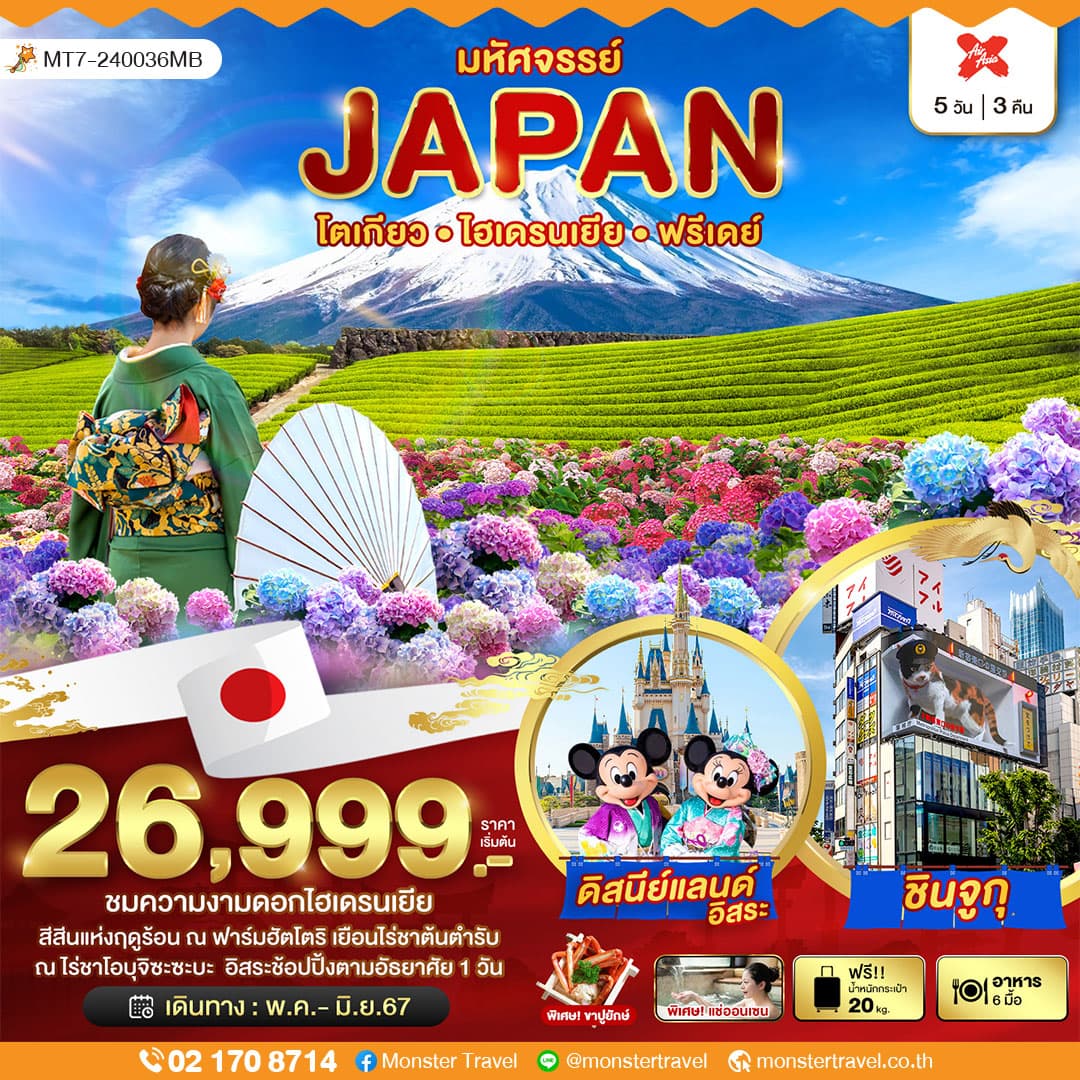 มหัศจรรย์...JAPAN โตเกียว ไฮเดรนเยีย ฟรีเดย์ 5 วัน 3 คืน
