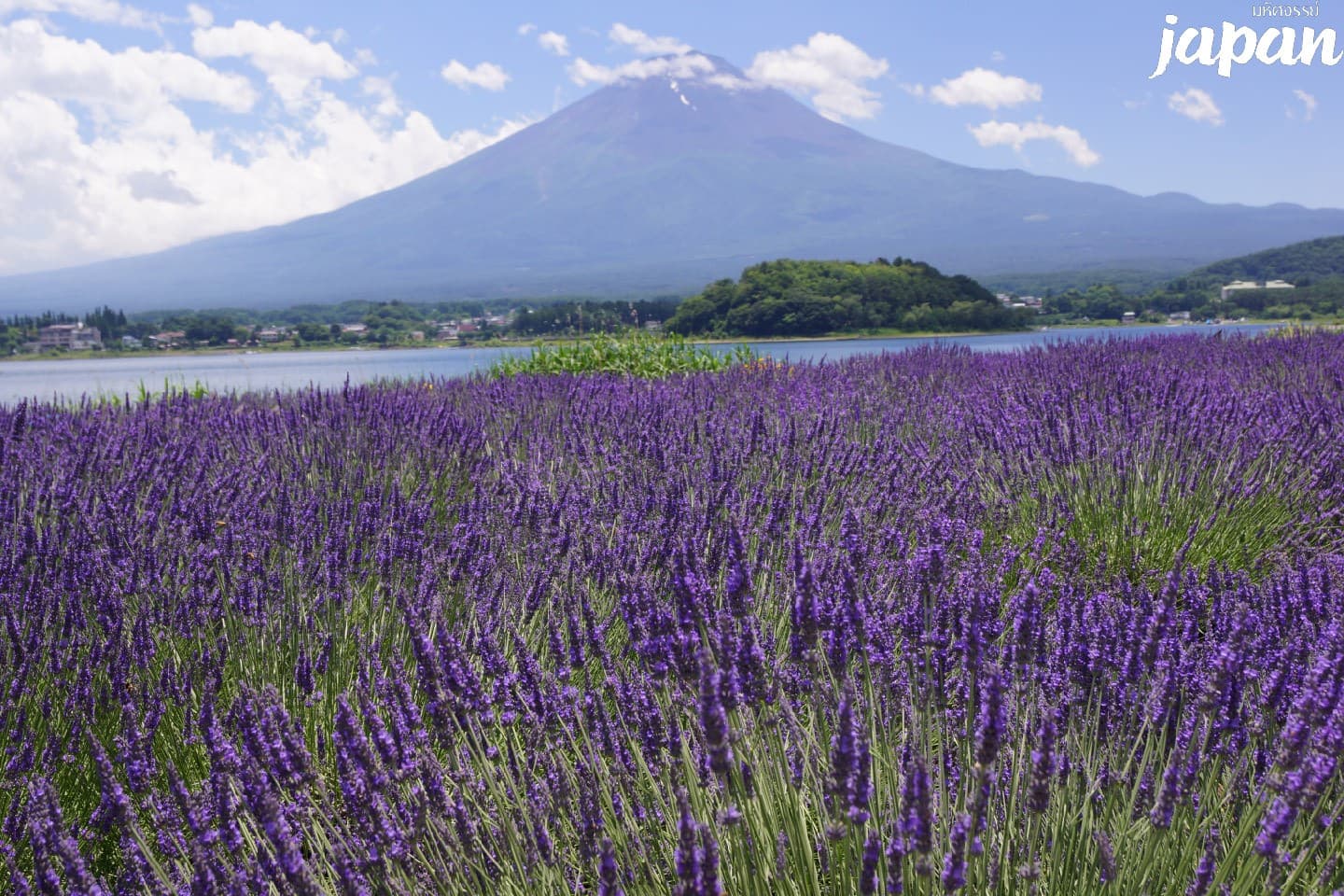 มหัศจรรย์...JAPAN ฟูจิ นาริตะ คาวาโกเอะ 5 วัน 3 คืน 3