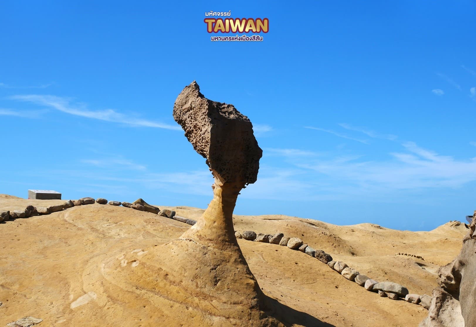 มหัศจรรย์..TAIWAN มหานครแห่งเมืองสีสัน 4 วัน 3 คืน 5