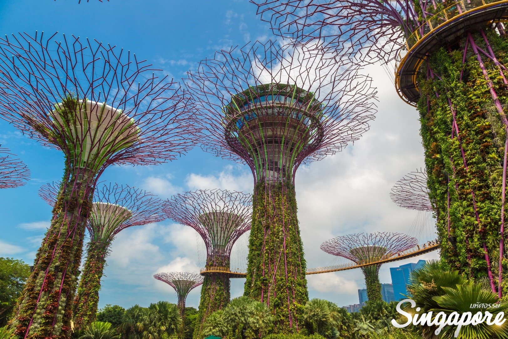 มหัศจรรย์...สิงค์โปร์ ฟรีอิสระ 1 วัน รับพลังฮวงจุ้ย 3 วัน 2 คืน 3