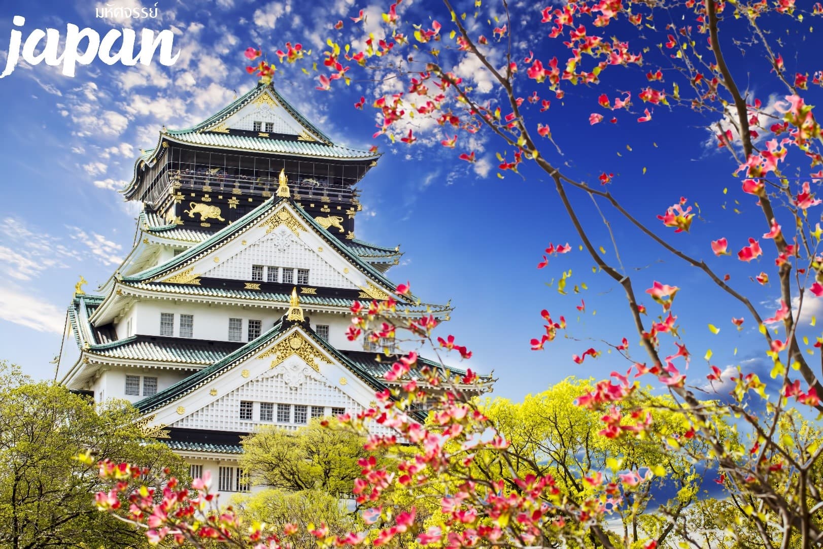 มหัศจรรย์...JAPAN โอซาก้า ทาคายาม่า คามิโคจิ 6 วัน 4 คืน 1