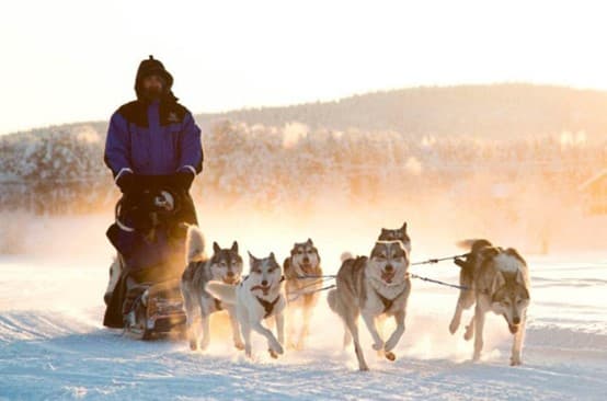 AMAZING AURORA  ทัวร์ฟินแลนด์ออโรรา 9 วัน 7 คืน 2