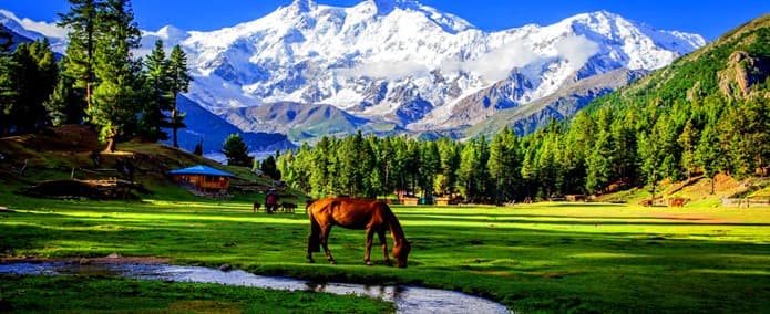 Amazing of Pakistan ทัวร์ปากีสถาน 11 วัน 9 คืน 4