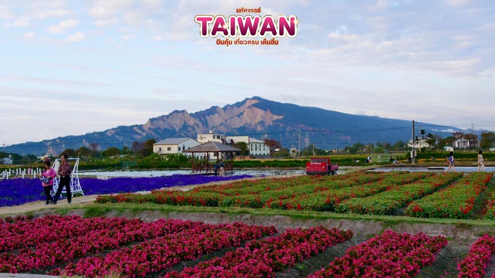 มหัศจรรย์..TAIWAN บินคุ้ม..เที่ยวครบ..เต็มอิ่ม 5 วัน 4 คืน 1