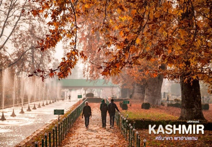 มหัศจรรย์...KASHMIR ศรีนาคา พาฮาแกม 5 วัน 4 คืน 9