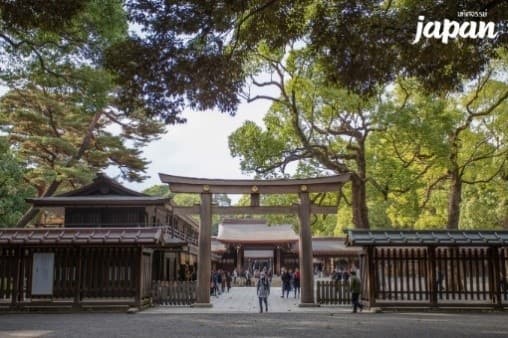 มหัศจรรย์...JAPAN อิบารากิ คาวาโกเอะ ฟูจิ 5 วัน 3 คืน 3