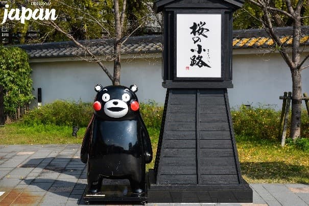 มหัศจรรย์...FUKUOKA คุมาโมโต้ ทาคาชิโฮะ เบปปุ 5 วัน 3 คืน 5