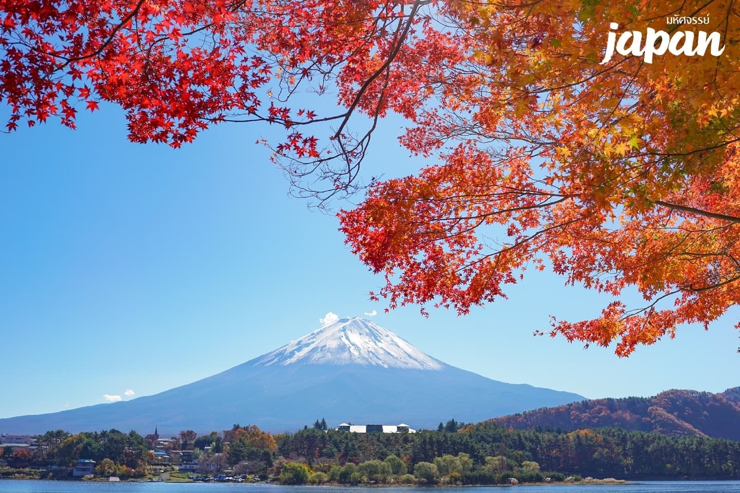 มหัศจรรย์...JAPAN เกียวโต ชิราคาวาโกะ คามิโคจิ โตเกียว 6 วัน 4 คืน 1