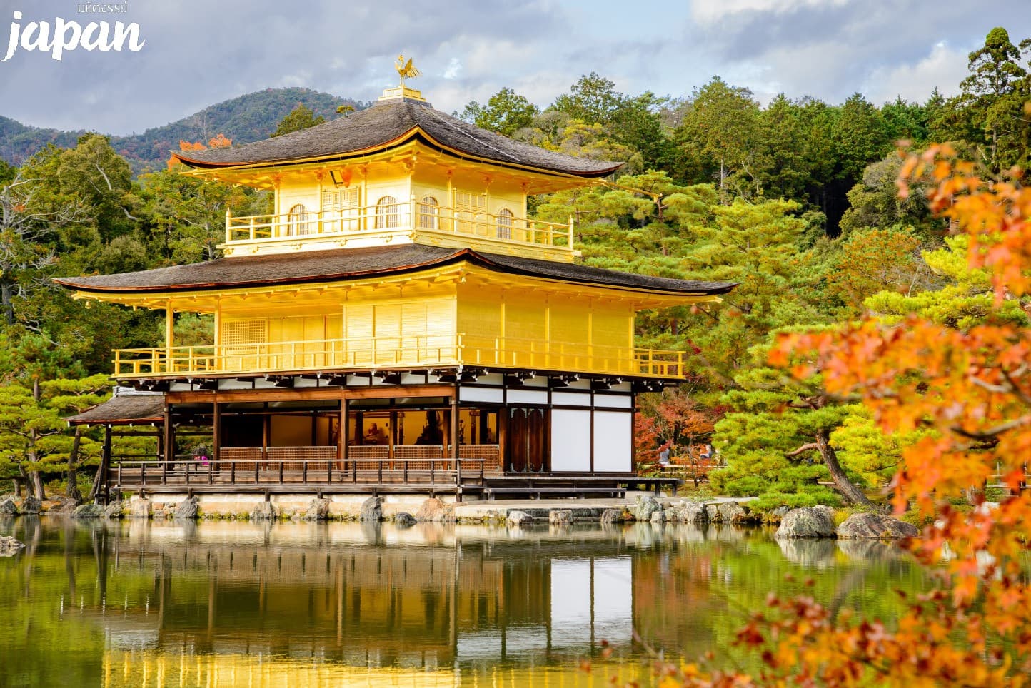 มหัศจรรย์...JAPAN เกียวโต ชิราคาวาโกะ คามิโคจิ โตเกียว 6 วัน 4 คืน 4