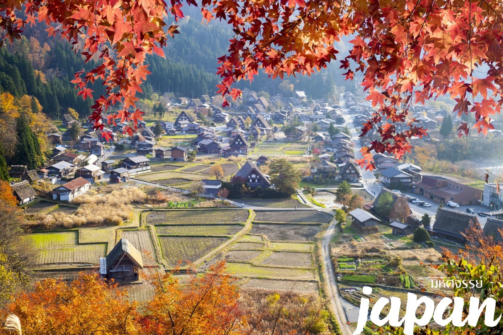 มหัศจรรย์...JAPAN เกียวโต ชิราคาวาโกะ คามิโคจิ โตเกียว 6 วัน 4 คืน 6