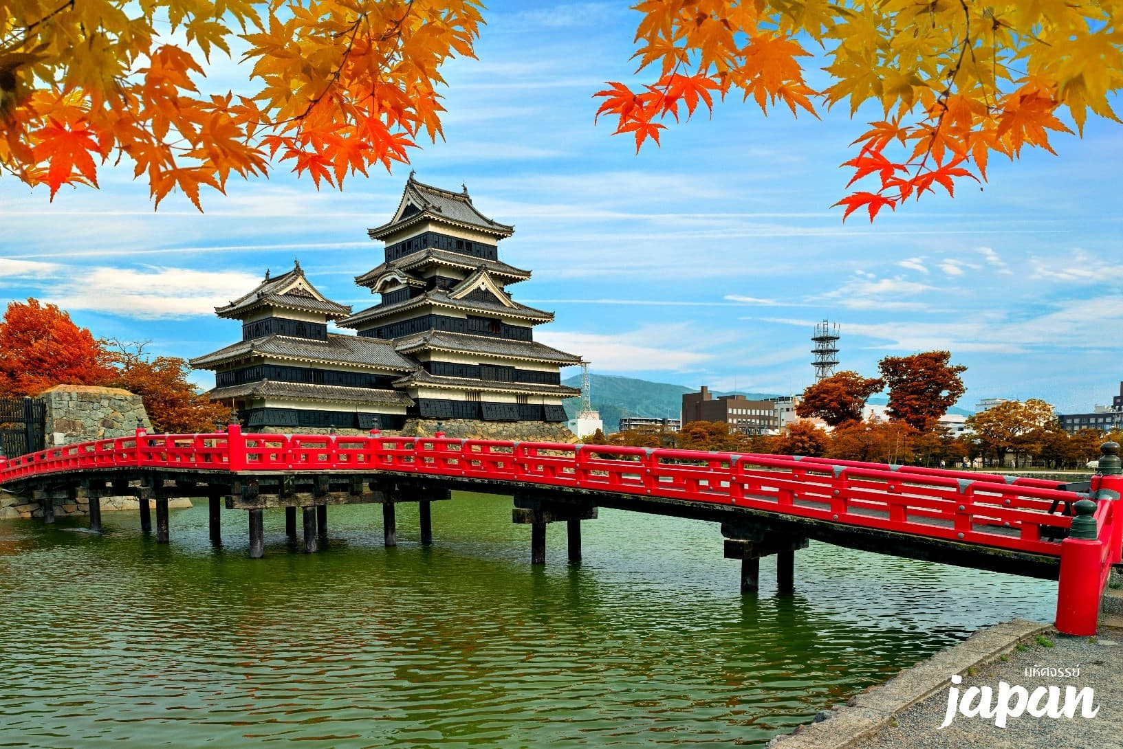 มหัศจรรย์...JAPAN เกียวโต ชิราคาวาโกะ คามิโคจิ โตเกียว 6 วัน 4 คืน 8