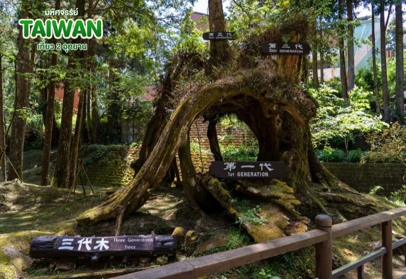 มหัศจรรย์..TAIWAN เที่ยว 2 อุทยาน 5 วัน 4 คืน 18