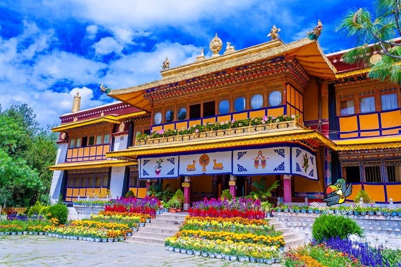 ทิเบต ลาซา เกียนเซ ชิกัตเซ่ ทะเลสาบยัมดรก (ไม่ลงร้าน-รวมทิปแล้ว) 4