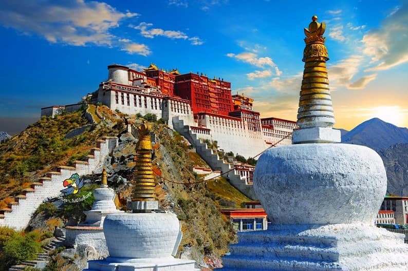 ทิเบต ลาซา เกียนเซ ชิกัตเซ่ ทะเลสาบยัมดรก (ไม่ลงร้าน-รวมทิปแล้ว) 6