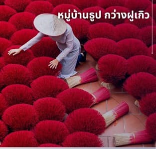ฮานอย ซาปา ฟานซิปัน นิงห์บิงห์ 4 วัน 3 คืน 7