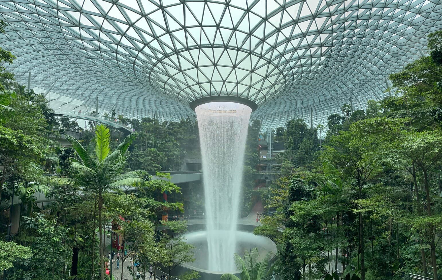 Value Packed Singapore 5