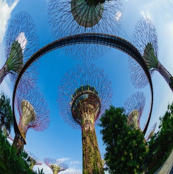 LOVELY SINGAPORE ทัวร์สิงคโปร์ 3 วัน 2 คืน โดยสายการบิน สิงคโปร์แอร์ไลน์ 11
