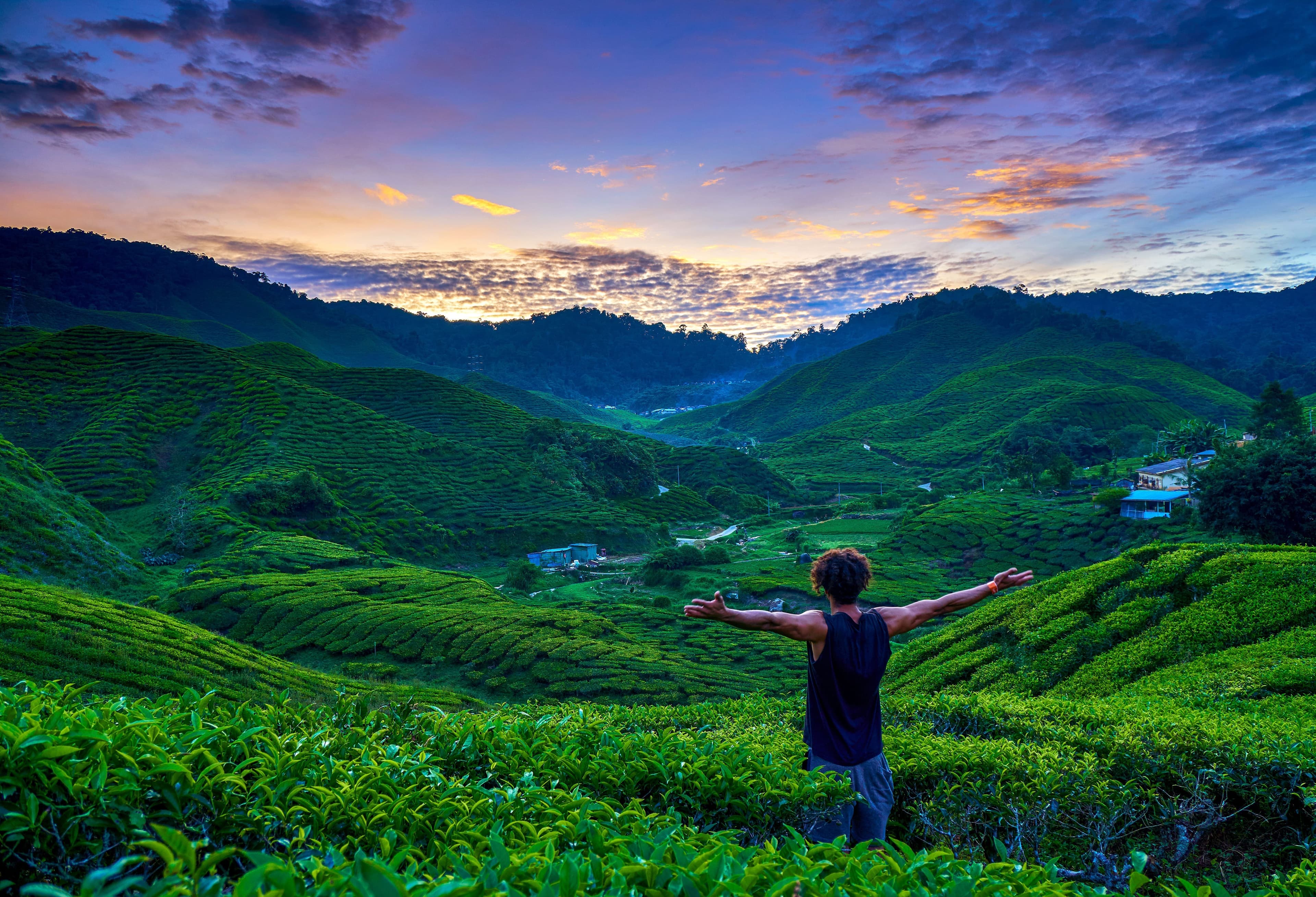 CAMERON GENTING ODYSSEY MALAYSIA ปุตราจายา-คาเมร่วน-เห็นตั๋ง-กัวลาฯ 3 วัน2 คืน 9