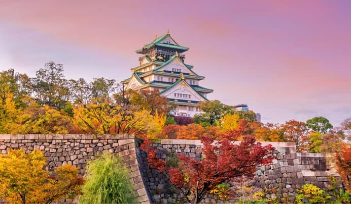 เที่ยวครบทุกวัน Osaka Autumn-Pink Muhly 3