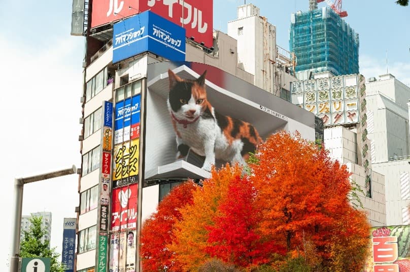 Tokyo Freeday โคเชีย ยืนหนึ่ง 2024 4