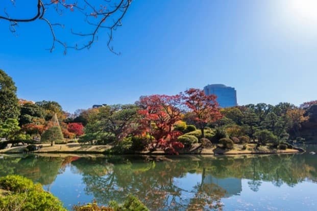 TOKYO โคเชีย สวยตะโกน 2024 (FREEDAY)  5