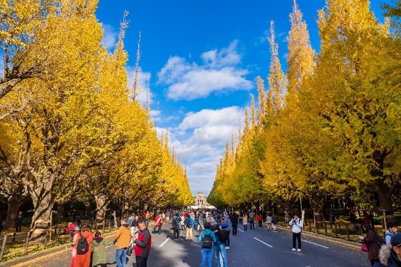 TOKYO นิกโก้ หลงรัก ใบไม้แดง 11