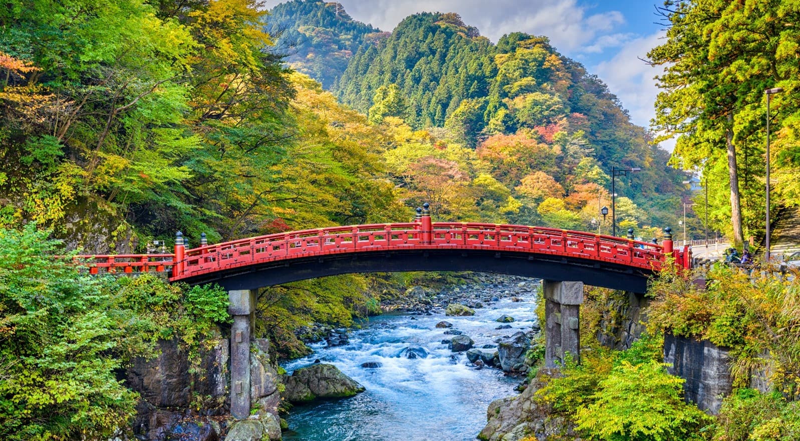 Tokyo เที่ยวครบทุกวัน นิกโก้ ใบไม้เปลี่ยนสี 3