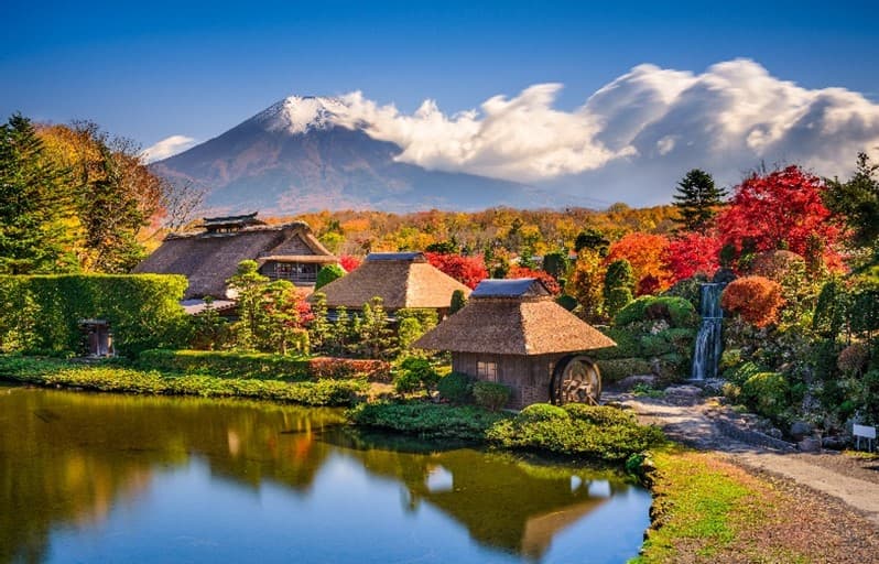 Nagoya-Fuji-Kamikoji เที่ยวครบทุกวัน 2