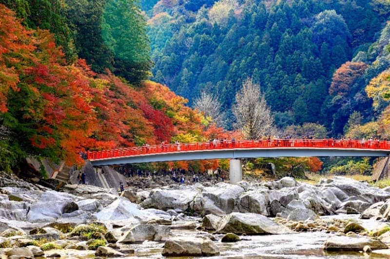 Nagoya-Fuji-Korankei เที่ยวครบทุกวัน 1