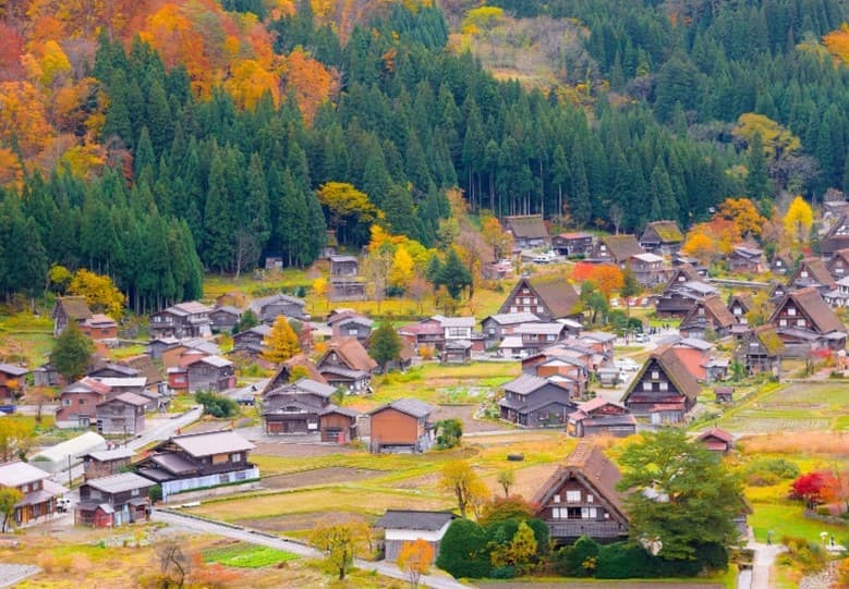 Nagoya-Fuji-Korankei เที่ยวครบทุกวัน 2