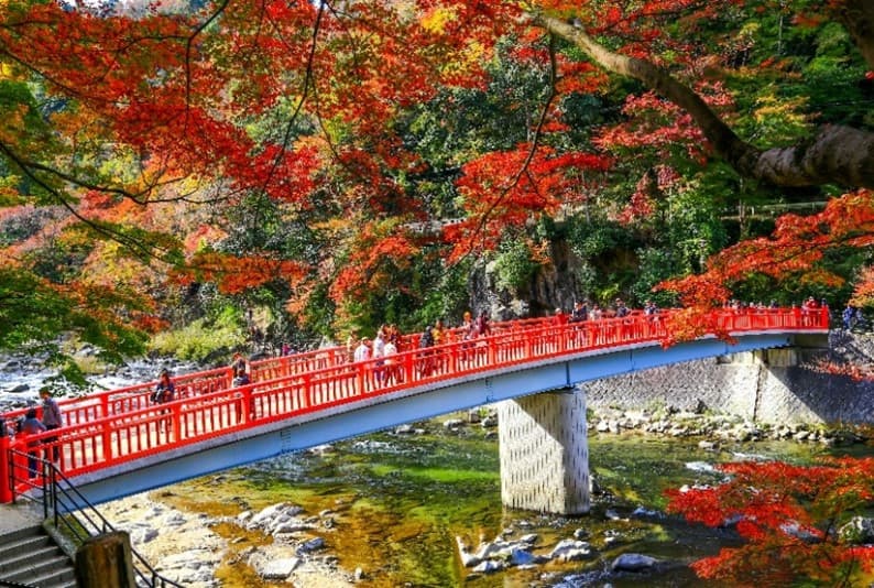 Nagoya-Fuji-Korankei เที่ยวครบทุกวัน 8