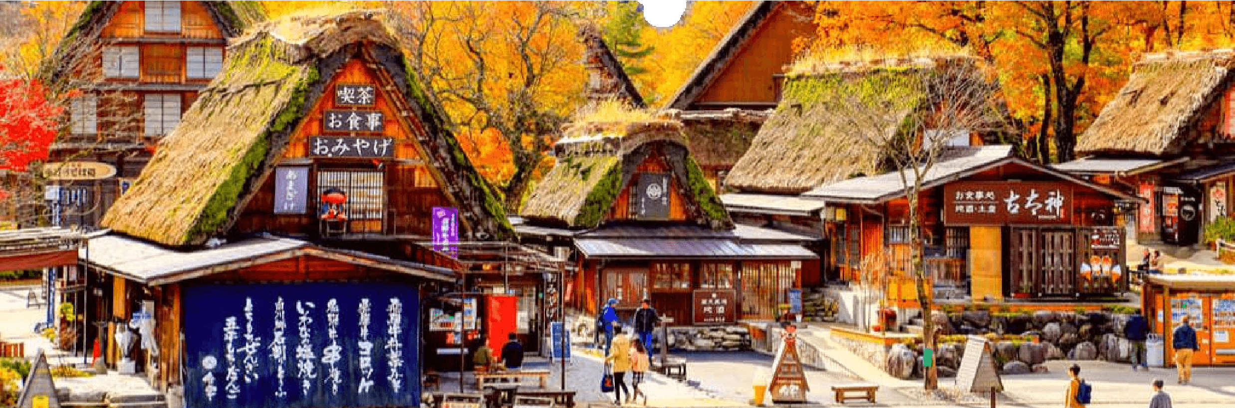 โอซาก้า นาโกย่า ทาคายาม่า เกียวโต ( เที่ยวอิสระ 1 วัน ) 5