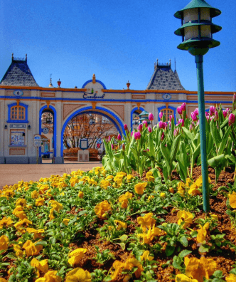 SEOUL Suwon- Yongin 4 วัน 2 คืน 13