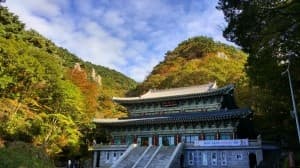 SPECIAL JEJU seoul 5 วัน 3 คืน 11