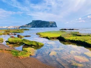 SPECIAL JEJU seoul 5 วัน 3 คืน 17