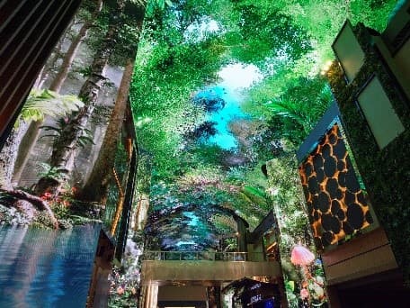 SEOUL PLUS+ Winter 5 วัน 3 คืน 9