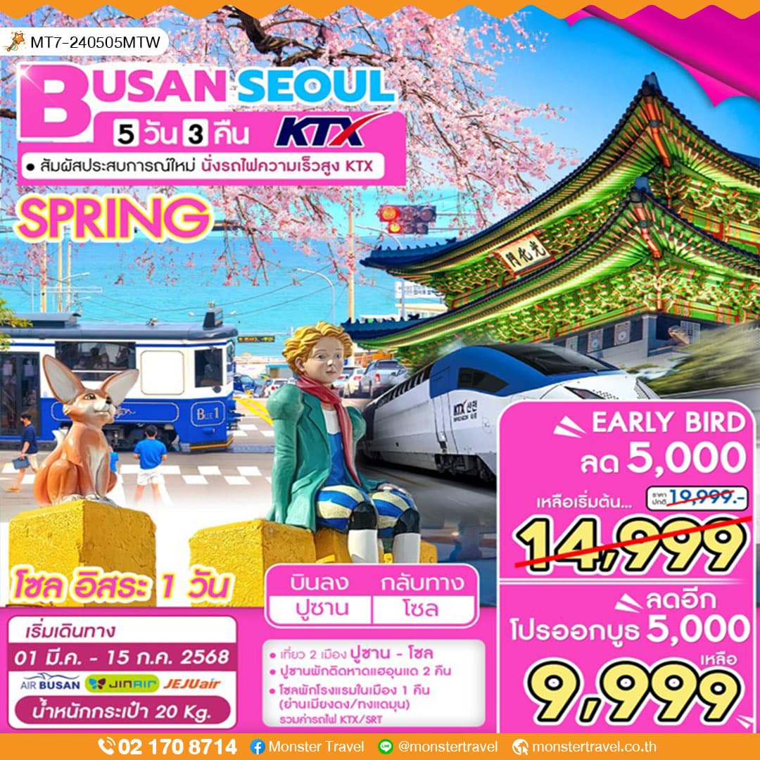 BUSAN SEOUL SPRING 5 วัน 3 คืน