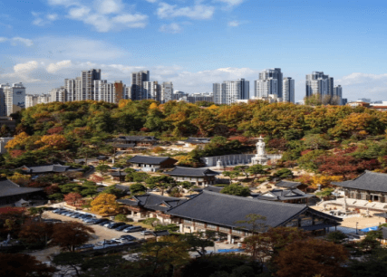 SEOUL BUSAN 6 วัน 4 คืน 17
