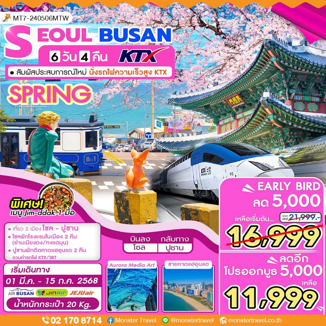 SEOUL BUSAN 6 วัน 4 คืน