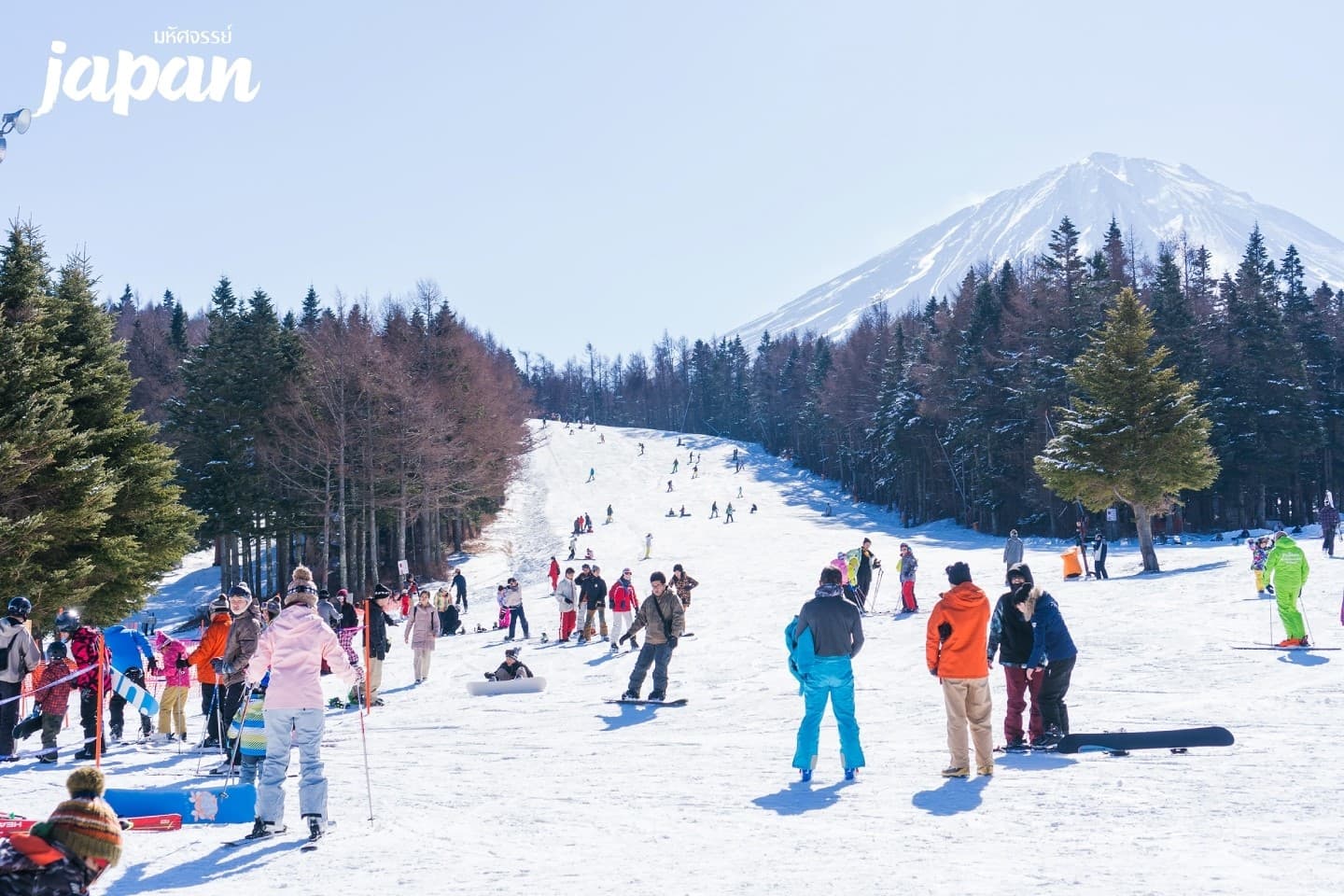 มหัศจรรย์ JAPAN โตเกียว ฟูจิเท็น MATSUDA 8