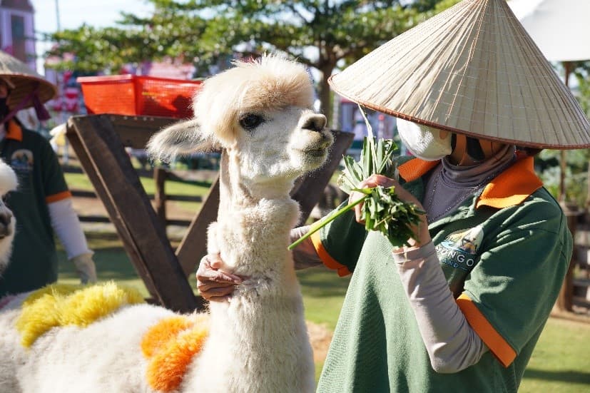 มหัศจรรย์ VIETNAM เวียดนามใต้ㆍโฮจิมินห์ㆍดาลัดㆍญาจาง 3