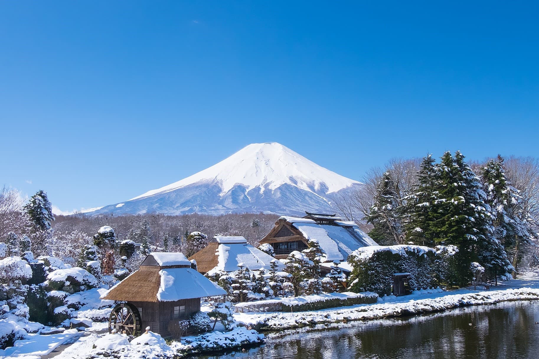 Snow Ski TOKYO FUJI YOKOHAMA 5วัน3คืน 3