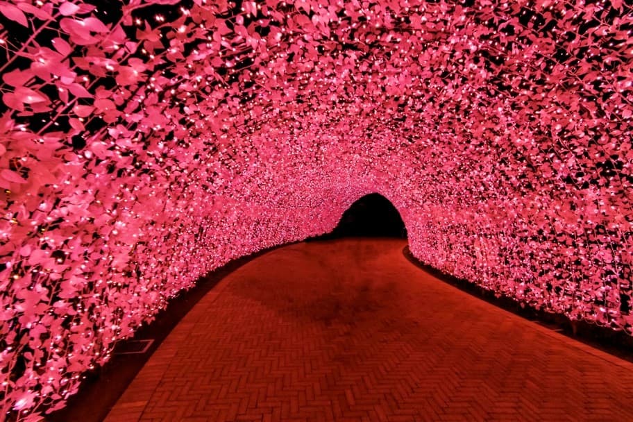 OSAKA เกียวโต ชิราคาวาโกะ ทาคายาม่า 8