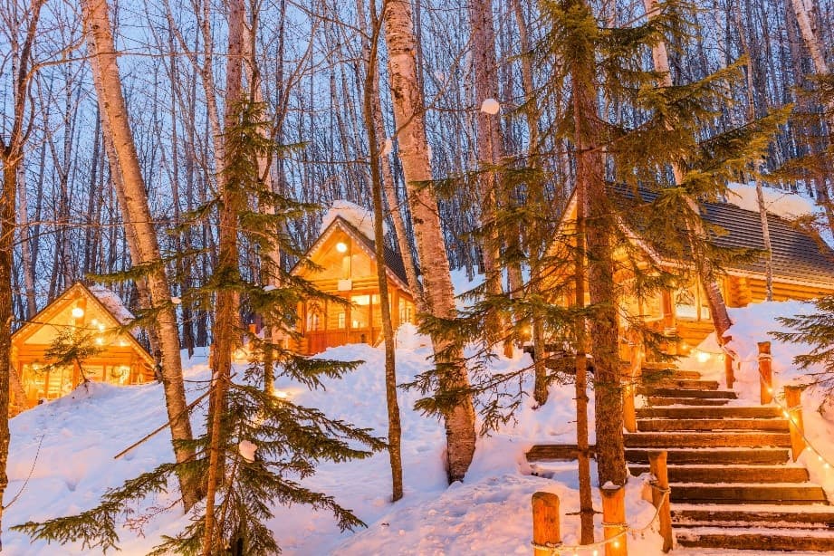 Great Cool Snow HOKKAIDO ซัปโปโร อาซาฮิคาวะ โอตารุ ฟุราโน่ 4