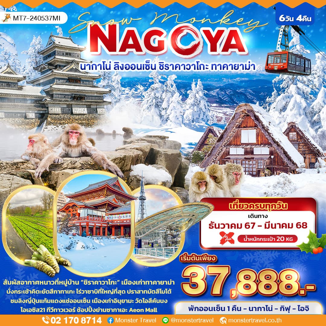 Snow Monkey NAGOYA นากาโน่ ลิงออนเซ็น ชิราคาวาโกะ ทาคายาม่า 
