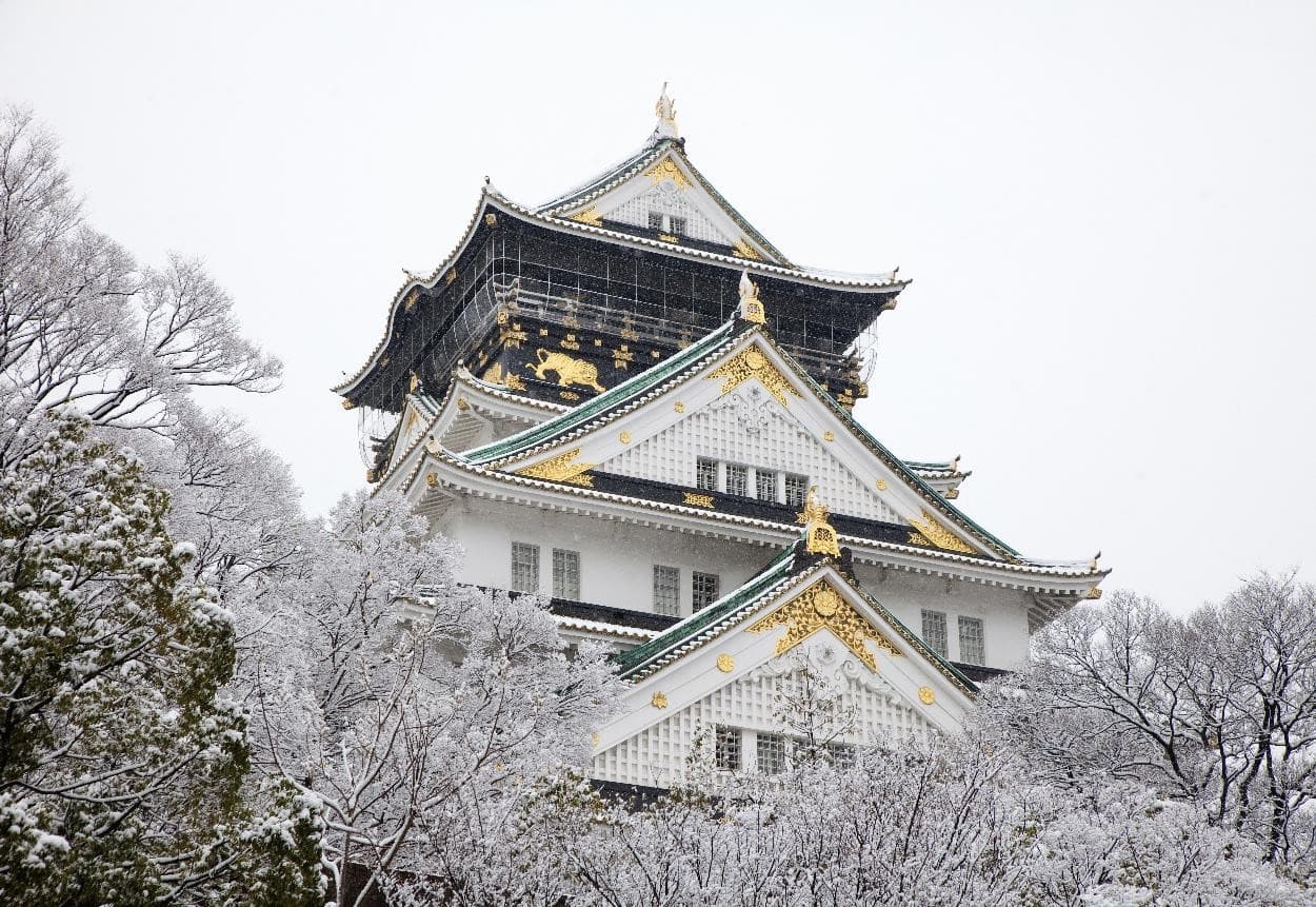 Winter Vibes NAGOYA ทาคายาม่า ชิราคาวาโกะ โอซาก้า นารา 3