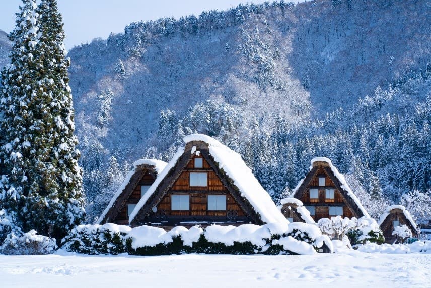 Winter Vibes NAGOYA ทาคายาม่า ชิราคาวาโกะ โอซาก้า นารา 7