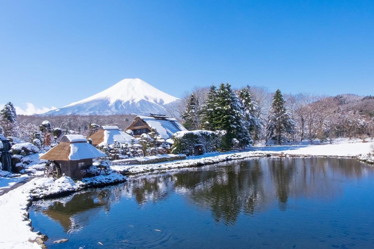 Winter Snow TOKYO OSAKA FUJI SNOW HAMANA KYOTO 6