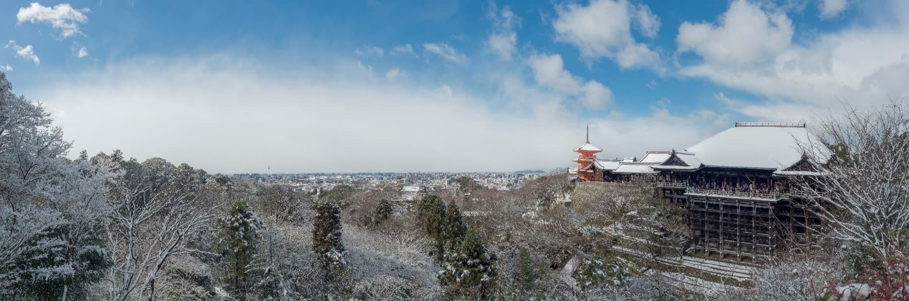 Winter Snow TOKYO OSAKA FUJI SNOW HAMANA KYOTO 9